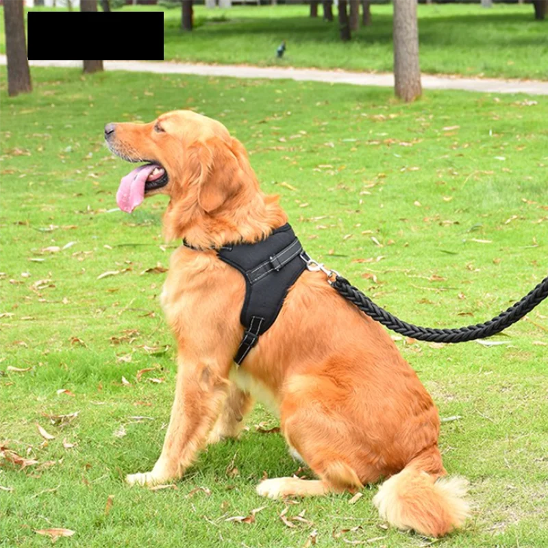 Peitoral Ajustável para Cães Pequenos e Grandes