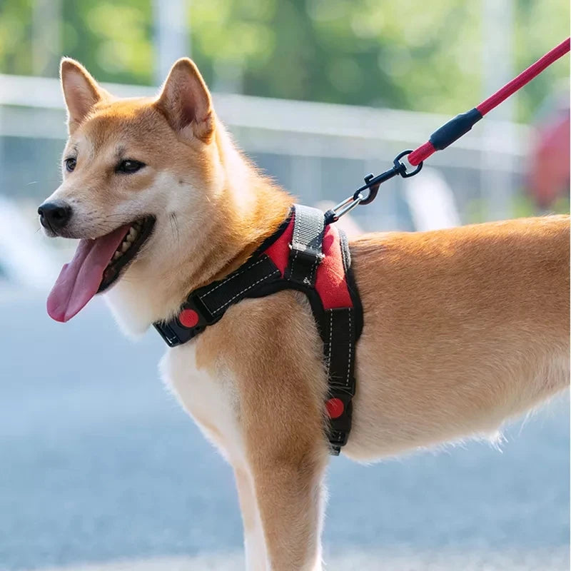 Peitoral Ajustável para Cães Pequenos e Grandes