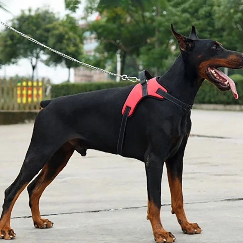 Peitoral Ajustável para Cães Pequenos e Grandes